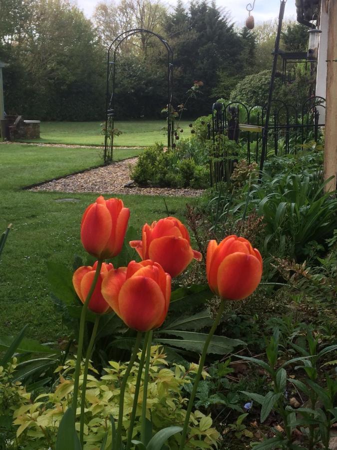 Woodacre B & B Arundel Luaran gambar